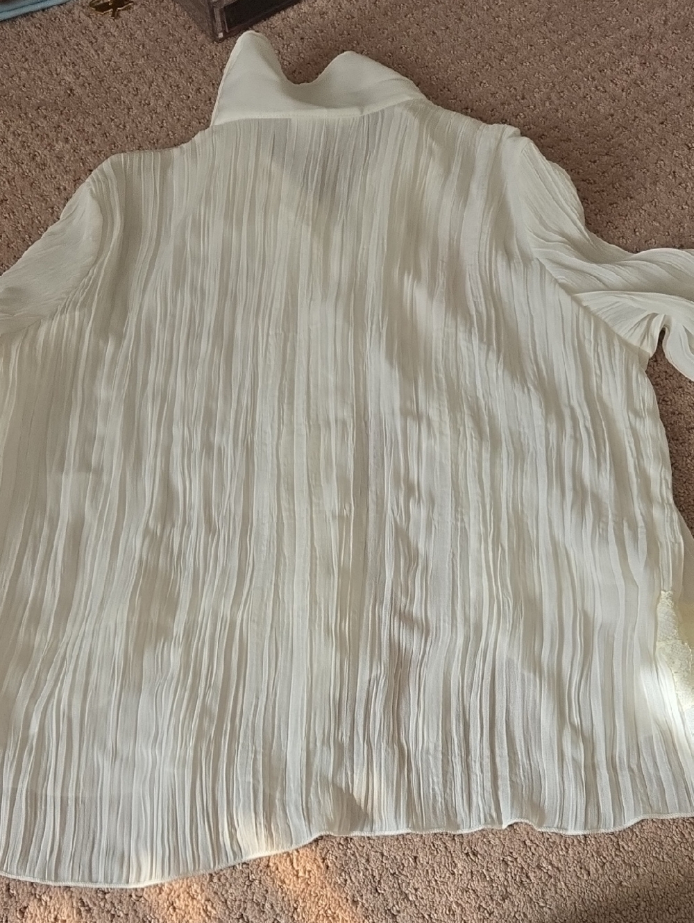 White Chadwicks Blouse - Picture 6 of 6